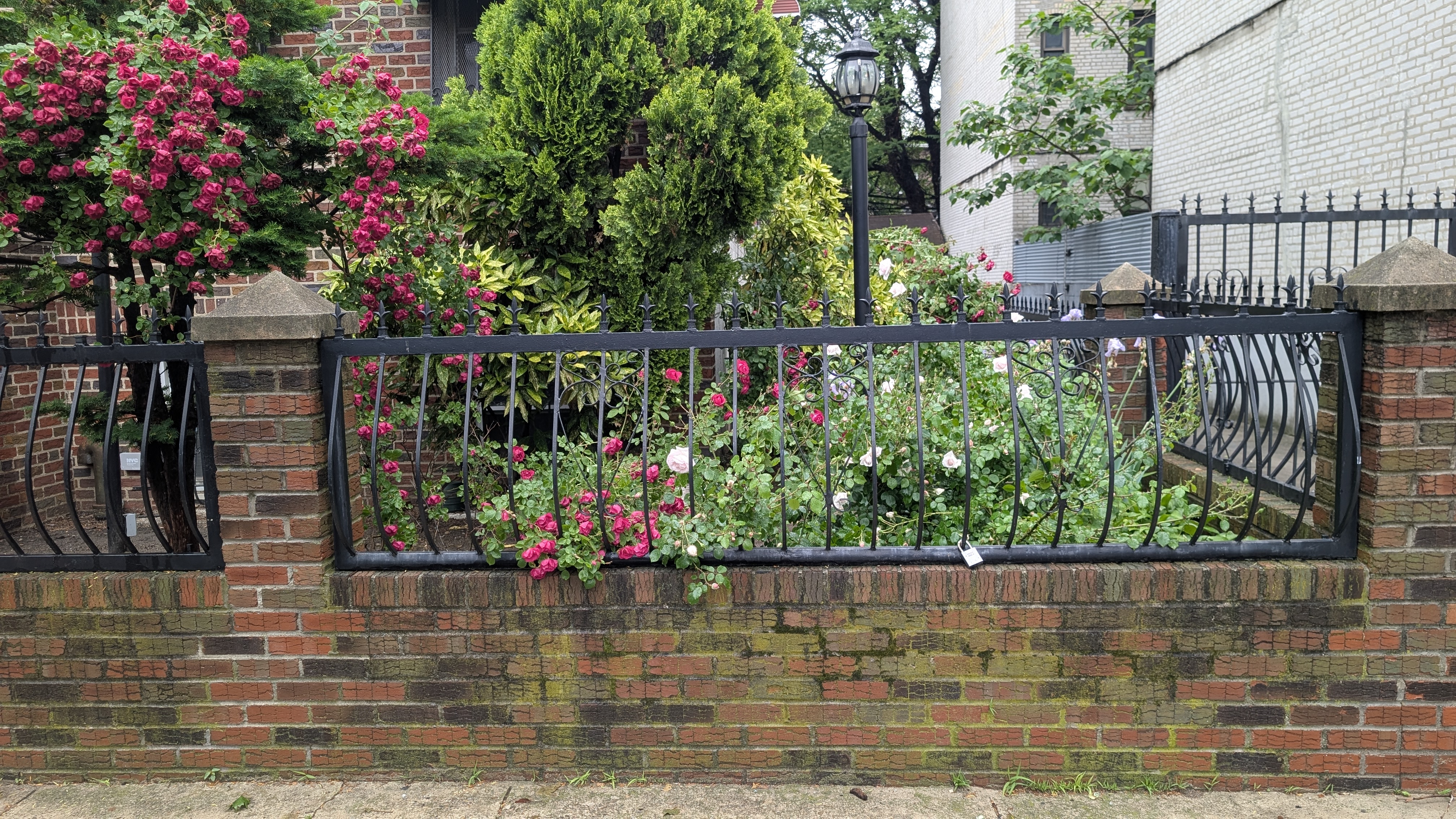 Black ornamental steel fencing installed around a landscaped New York property