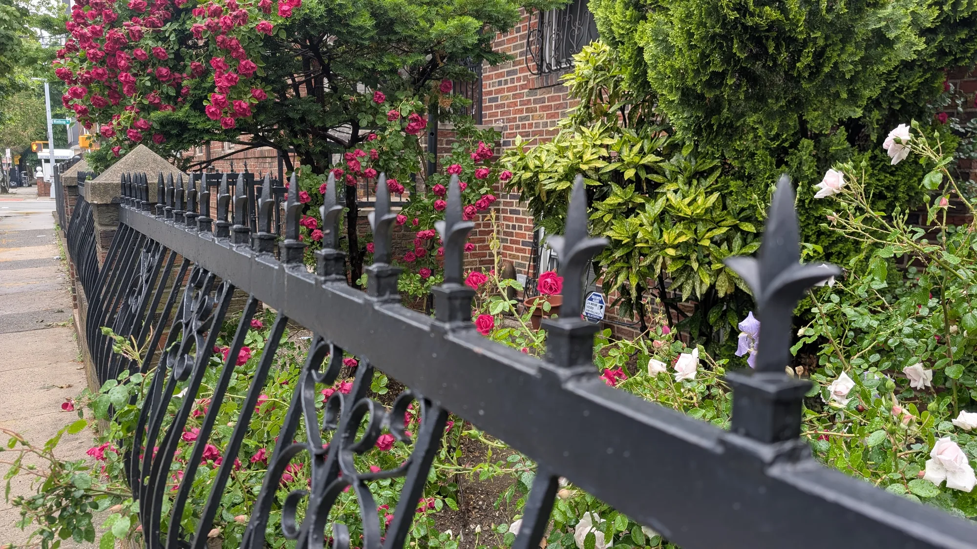 gate fence