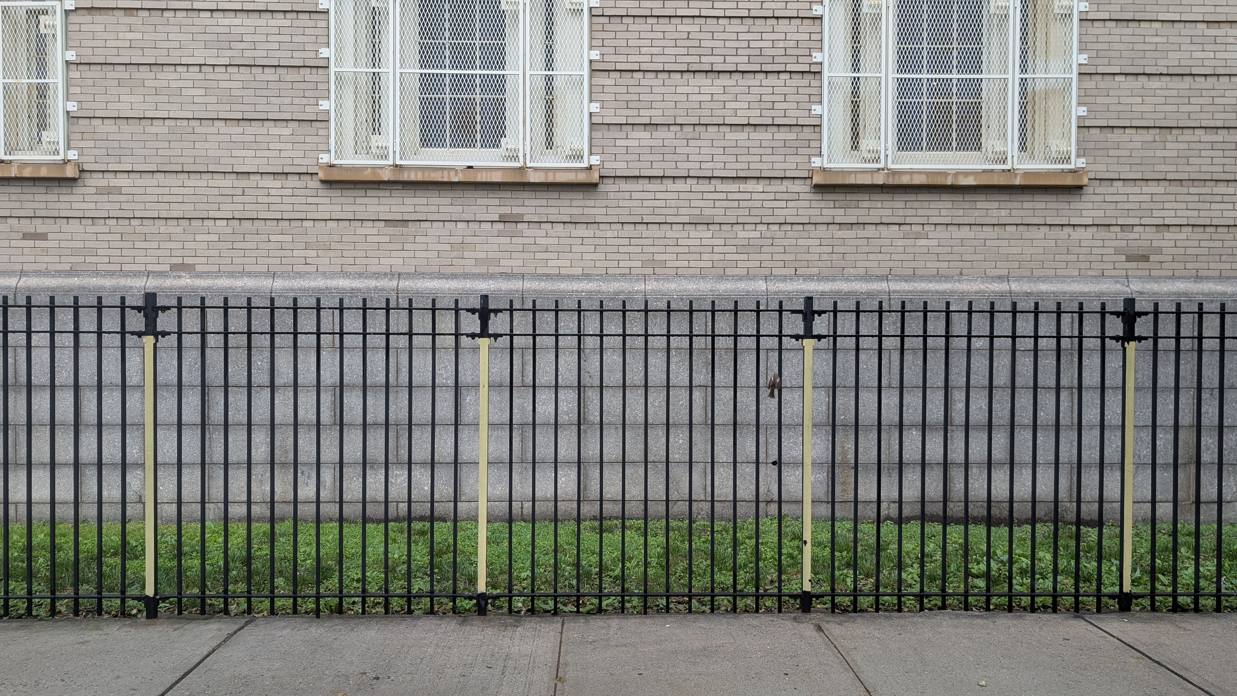 fence